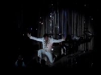 Cant Help Falling In Love